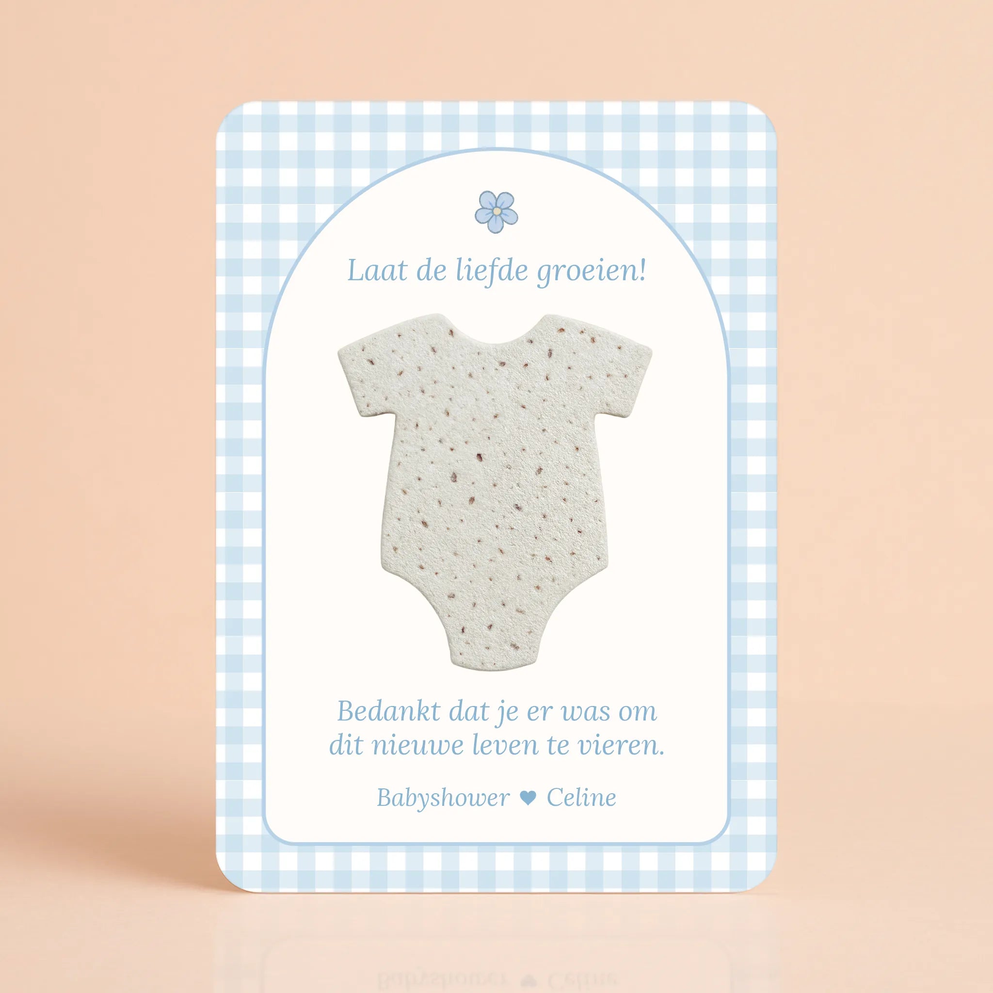 Babyshower cadeau bedankje zaadpapier romper gingham blauw gepersonaliseerd Studio Miron
