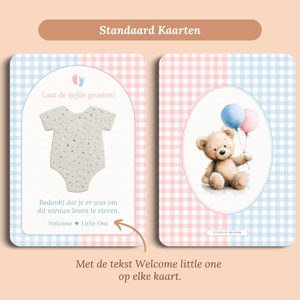 Babyshower cadeau bedankje zaadpapier rompertje blauw gingham roze standaard voor en achter Studio Miron