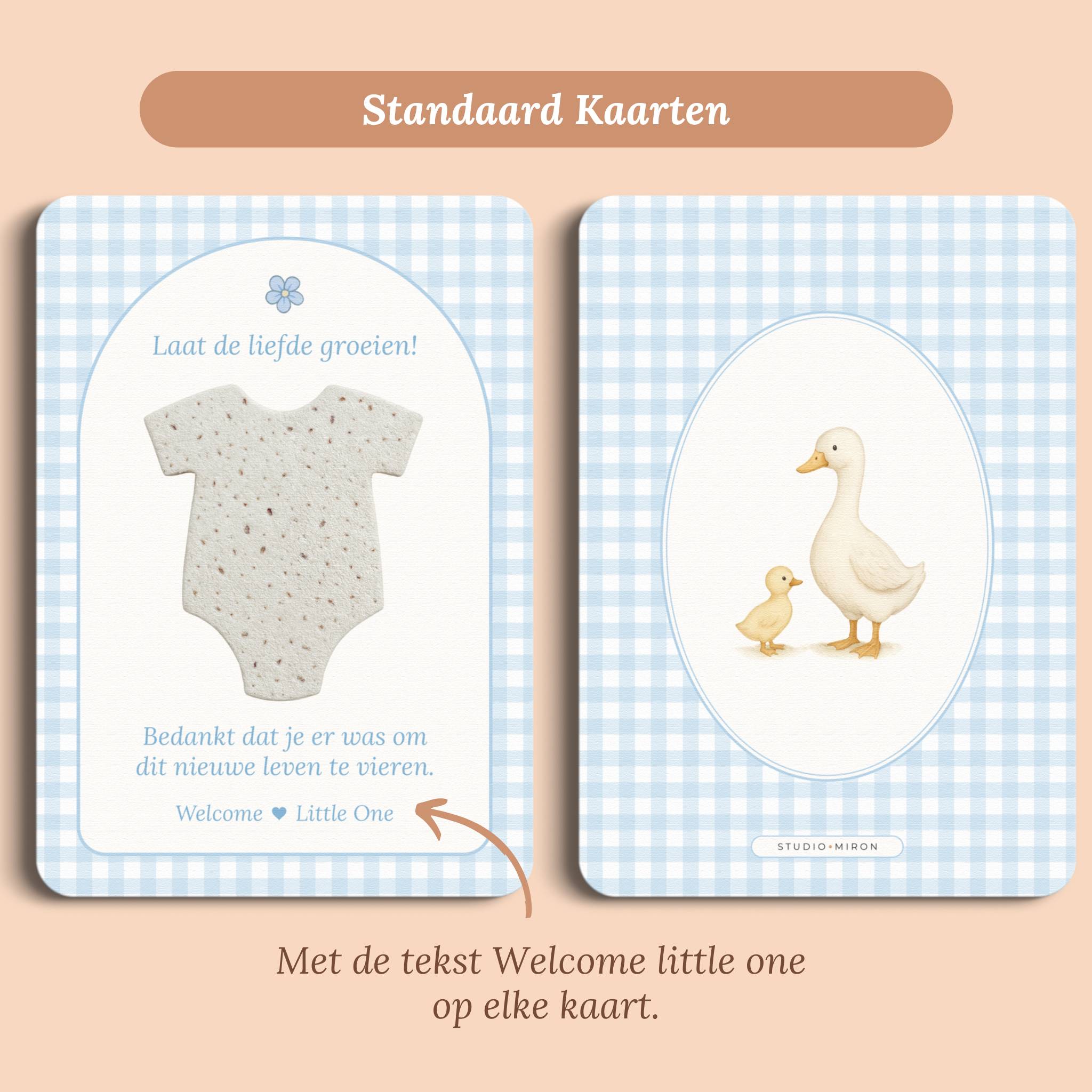 Babyshower cadeau bedankje zaadpapier rompertje gingham blauw standaard voor en achter Studio Miron