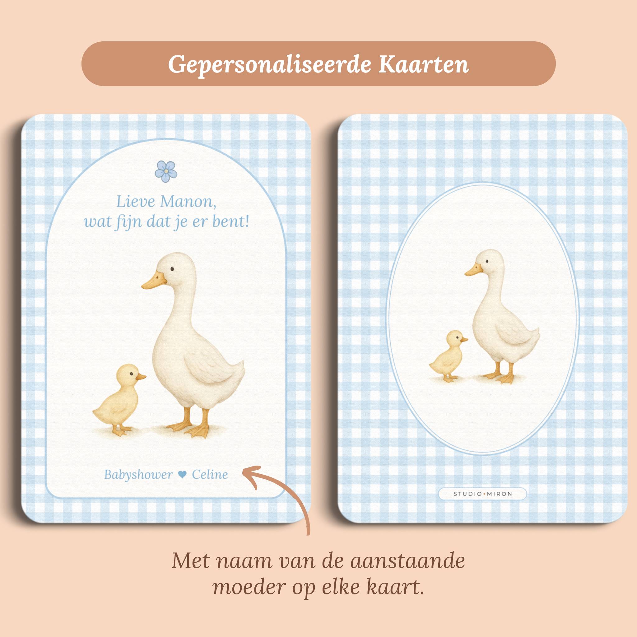 Babyshower decoratie mini welkomstbord A6 naamkaart gingham blauw gepersonaliseerd voor en achter Studio Miron
