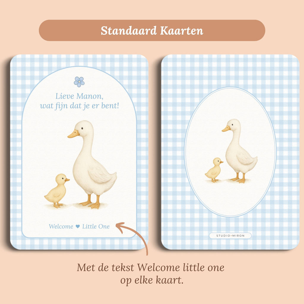 Babyshower decoratie mini welkomstbord A6 naamkaart gingham blauw standaard voor en achter Studio Miron
