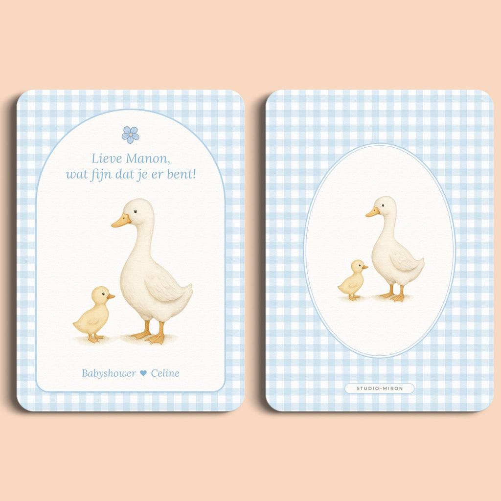 Babyshower decoratie mini welkomstbord A6 naamkaart gingham blauw voor en achter Studio Miron
