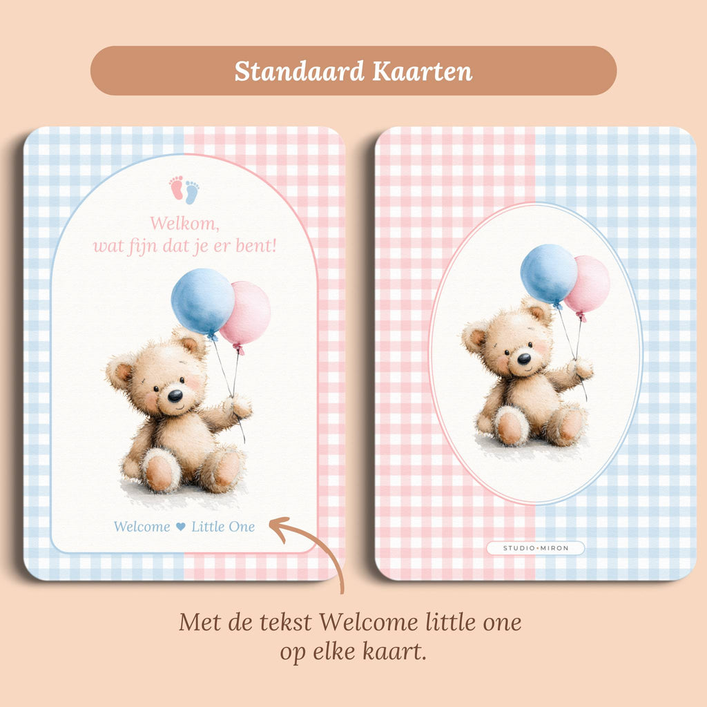 Babyshower decoratie mini welkomstbord A6 naamkaart gingham roze blauw standaard voor en achter Studio Miron