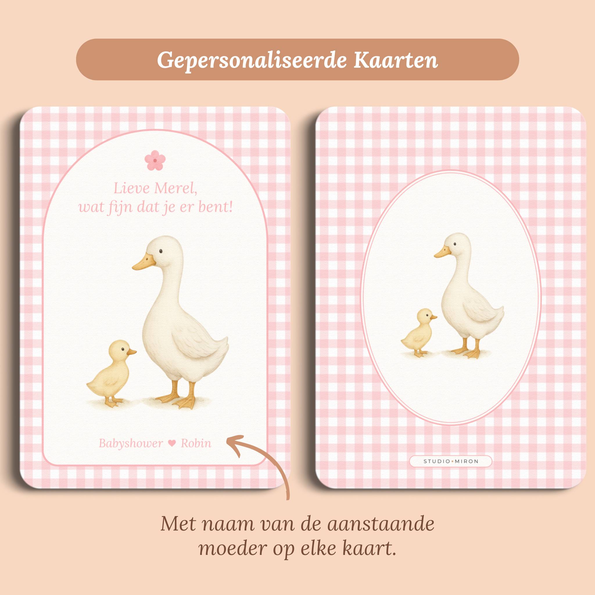 Babyshower decoratie mini welkomstbord A6 naamkaart gingham roze gepersonaliseerd voor en achter Studio Miron