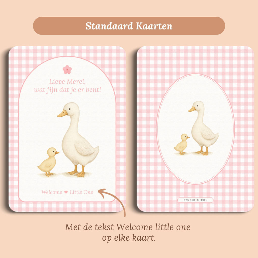 Babyshower decoratie mini welkomstbord A6 naamkaart gingham roze standaard voor en achter Studio Miron