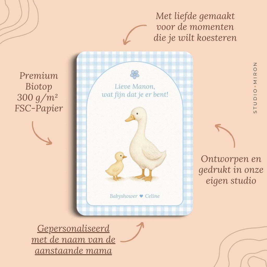 Babyshower decoratie welkomstposter naamkaart pluspunten gingham blauw Studio Miron