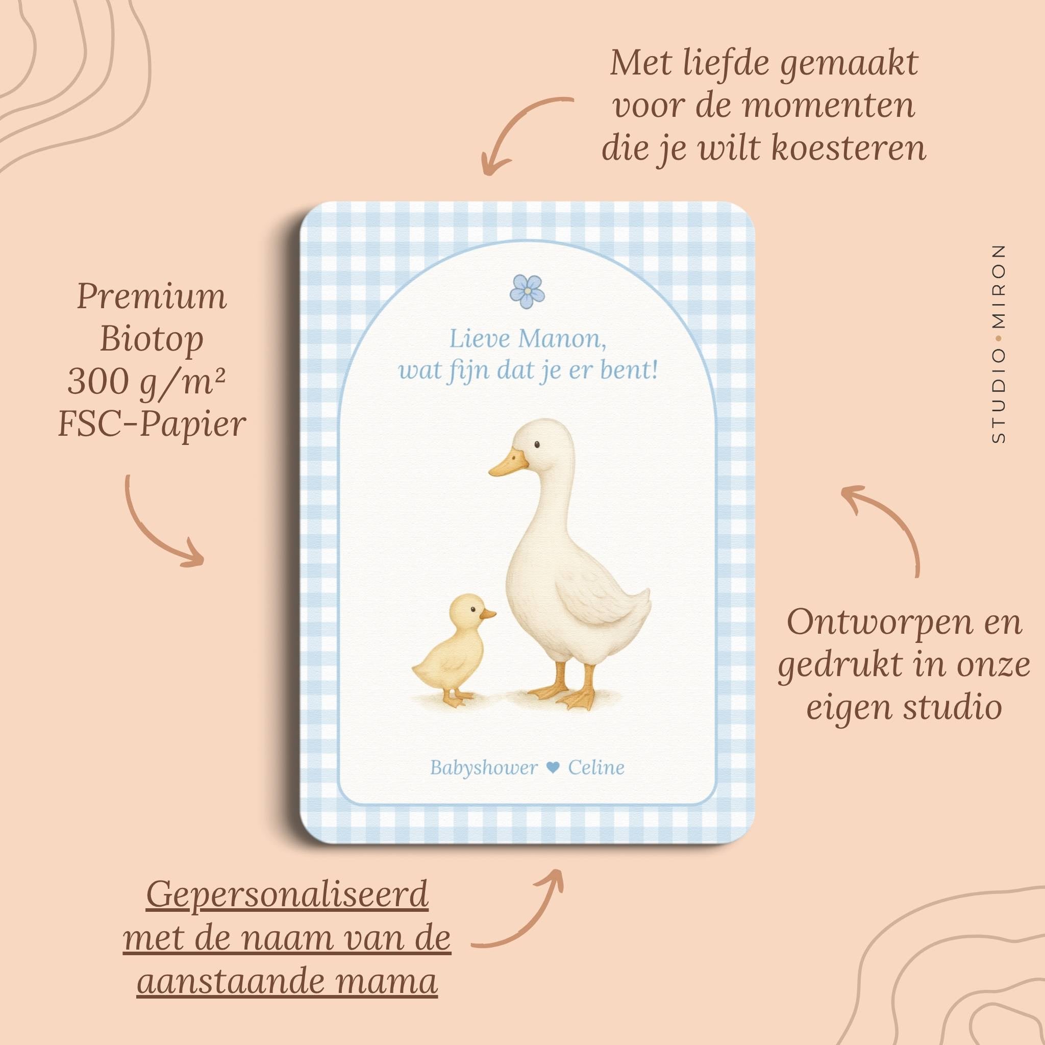 Babyshower decoratie welkomstposter naamkaart pluspunten gingham blauw Studio Miron