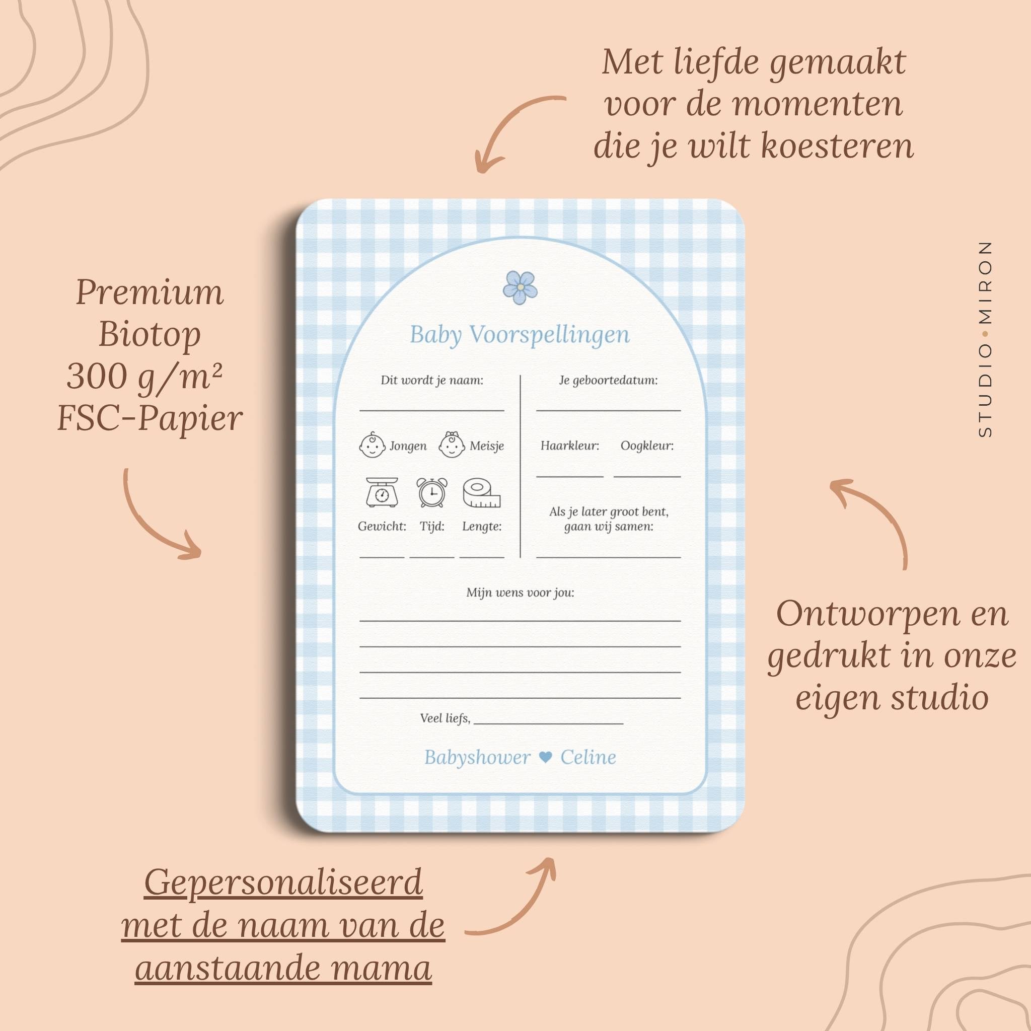 Babyshower invulkaarten baby voorspelling pluspunten gingham blauw Studio Miron