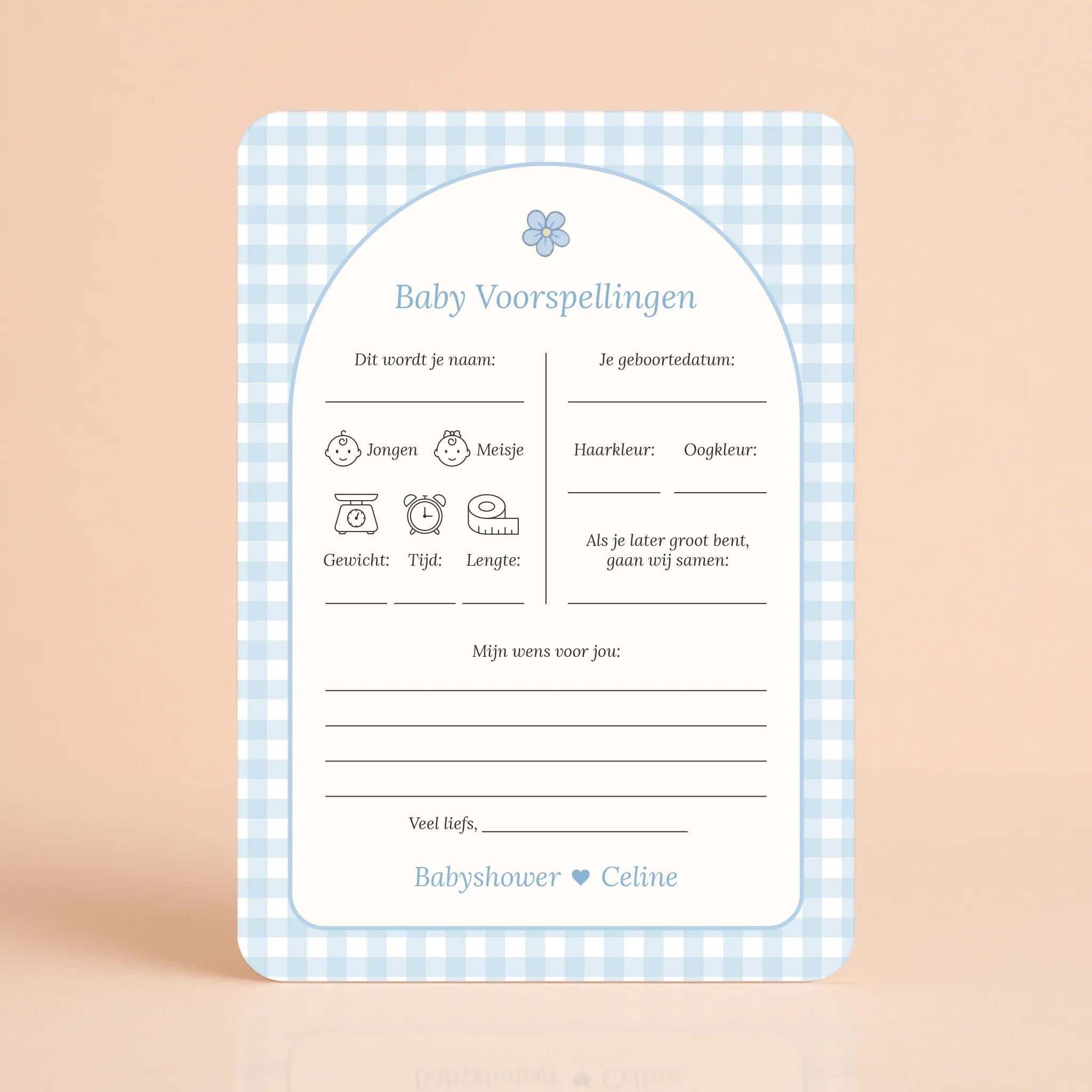 Babyshower invulkaarten baby voorspellingen gingham blauw gepersonaliseerd Studio Miron