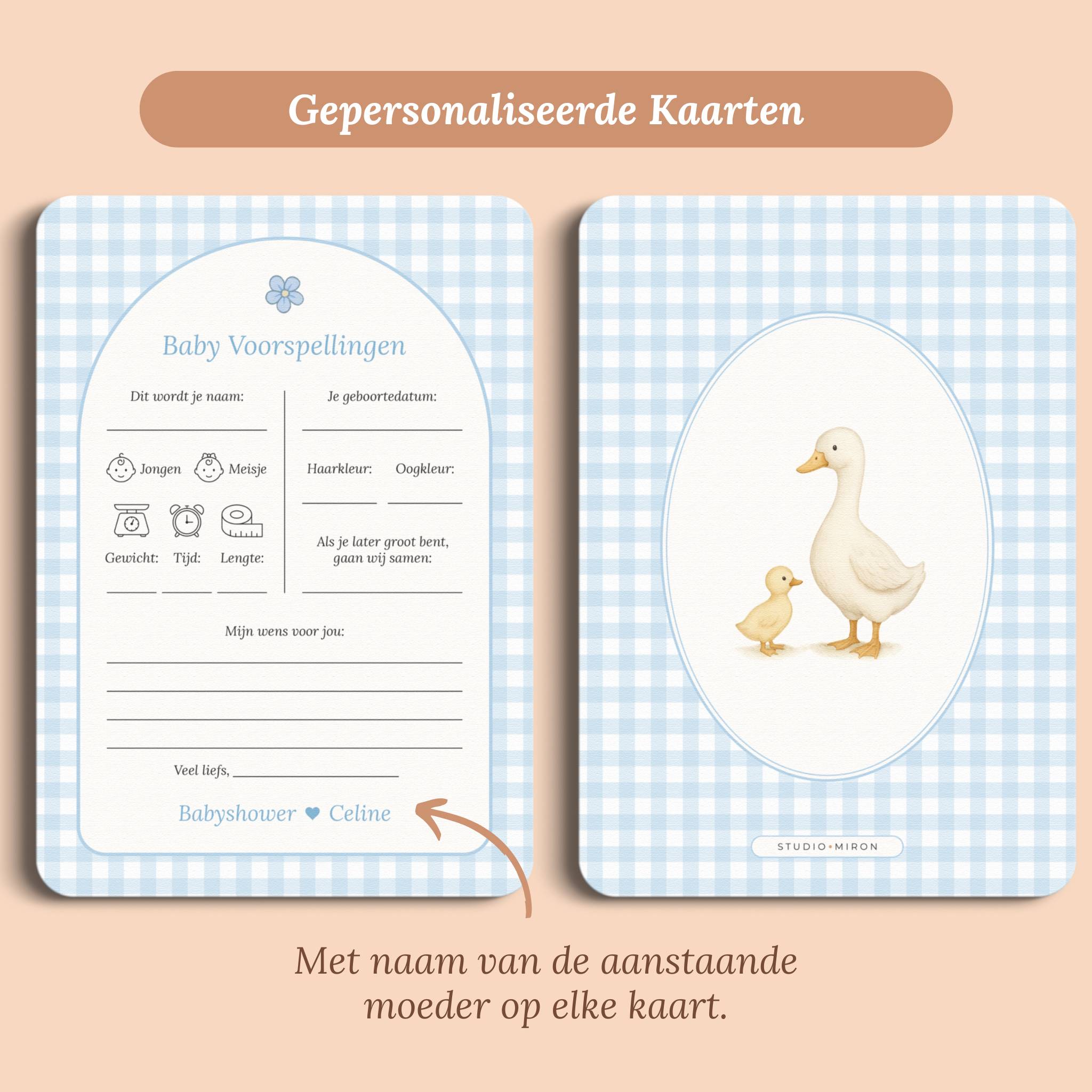 Babyshower invulkaarten baby voorspellingen gingham blauw gepersonaliseerd voor en achter Studio Miron