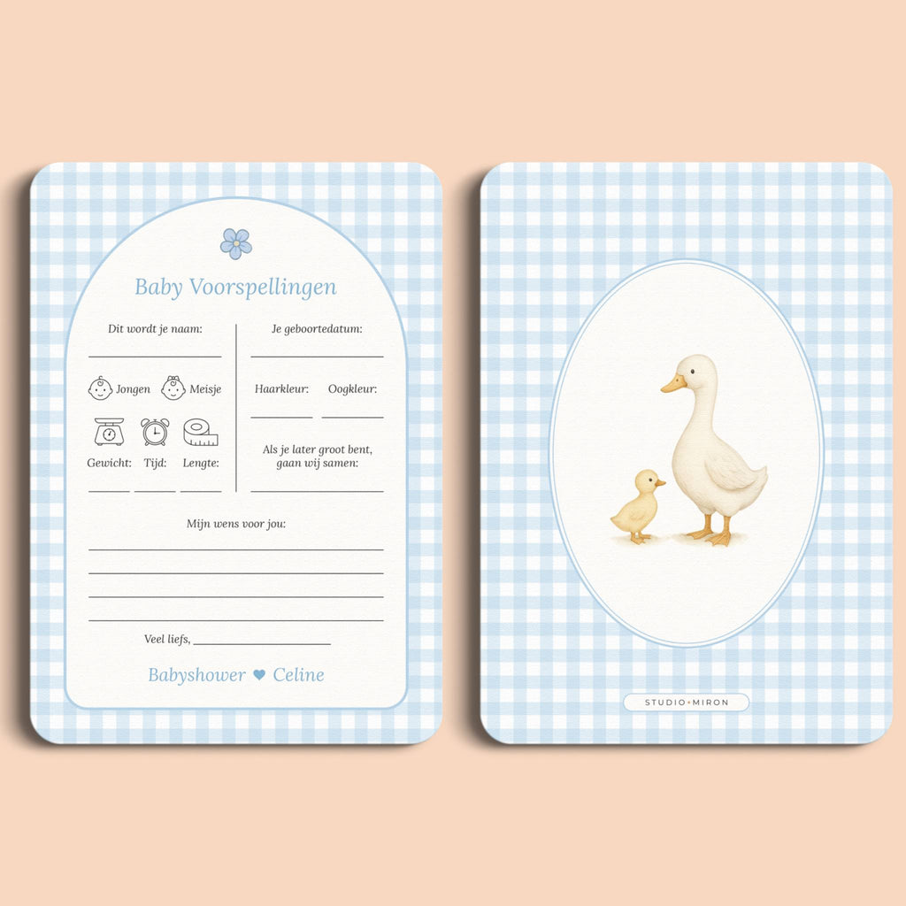 Babyshower invulkaarten baby voorspellingen gingham blauw voor en achter Studio Miron