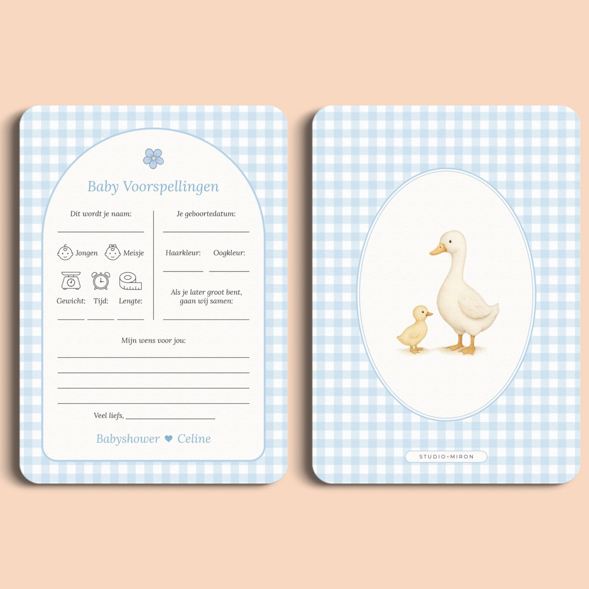 Babyshower invulkaarten baby voorspellingen gingham blauw voor en achter Studio Miron