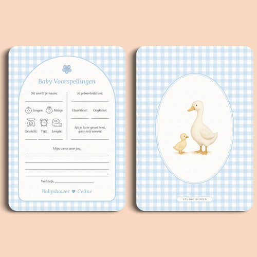 Babyshower invulkaarten baby voorspellingen gingham blauw voor en achter Studio Miron