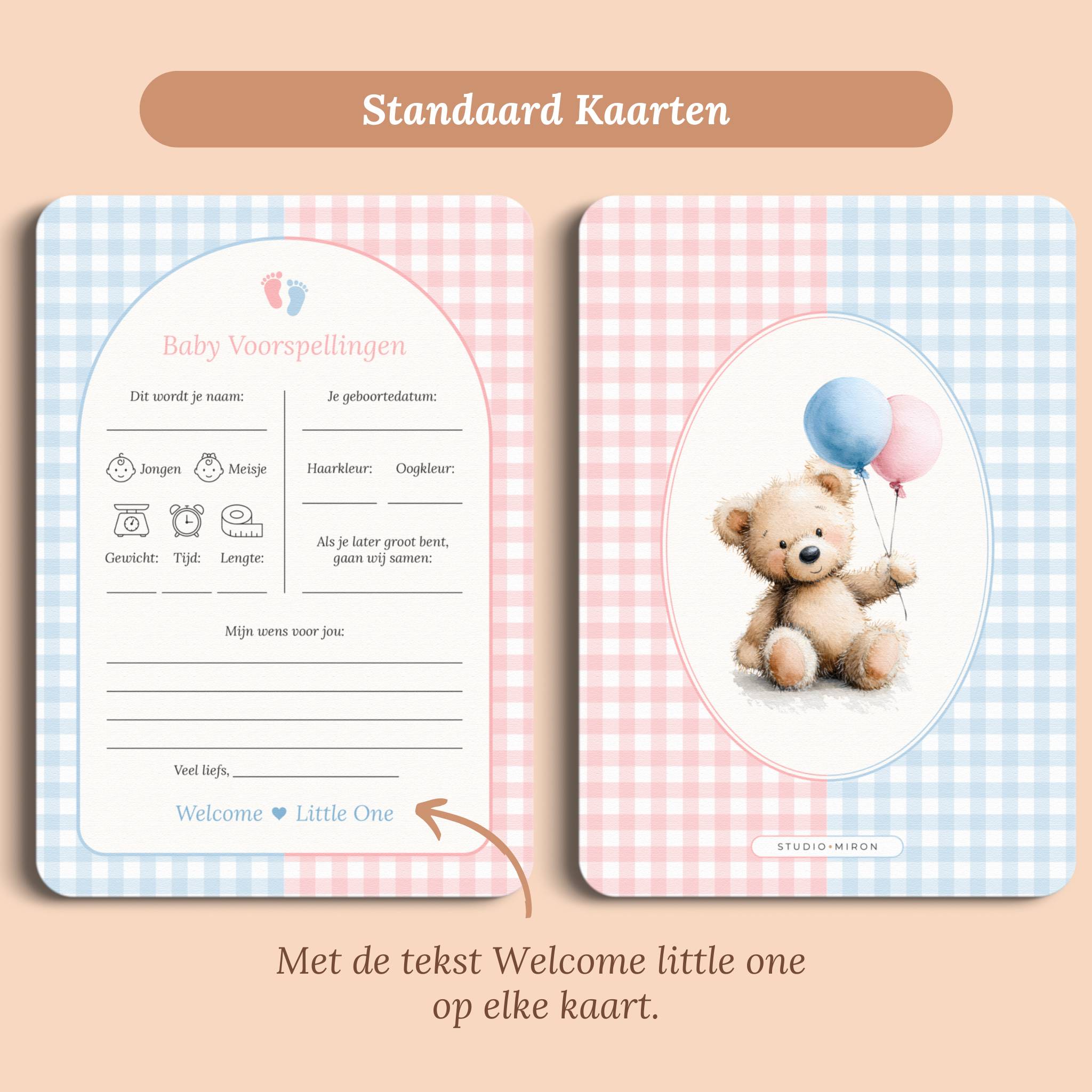 Babyshower invulkaarten baby voorspellingen gingham roze blauw standaard voor en achter Studio Miron