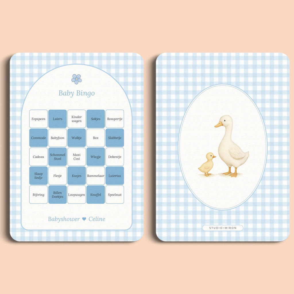 Babyshower spelletjes baby bingo gingham blauw voor en achter Studio Miron