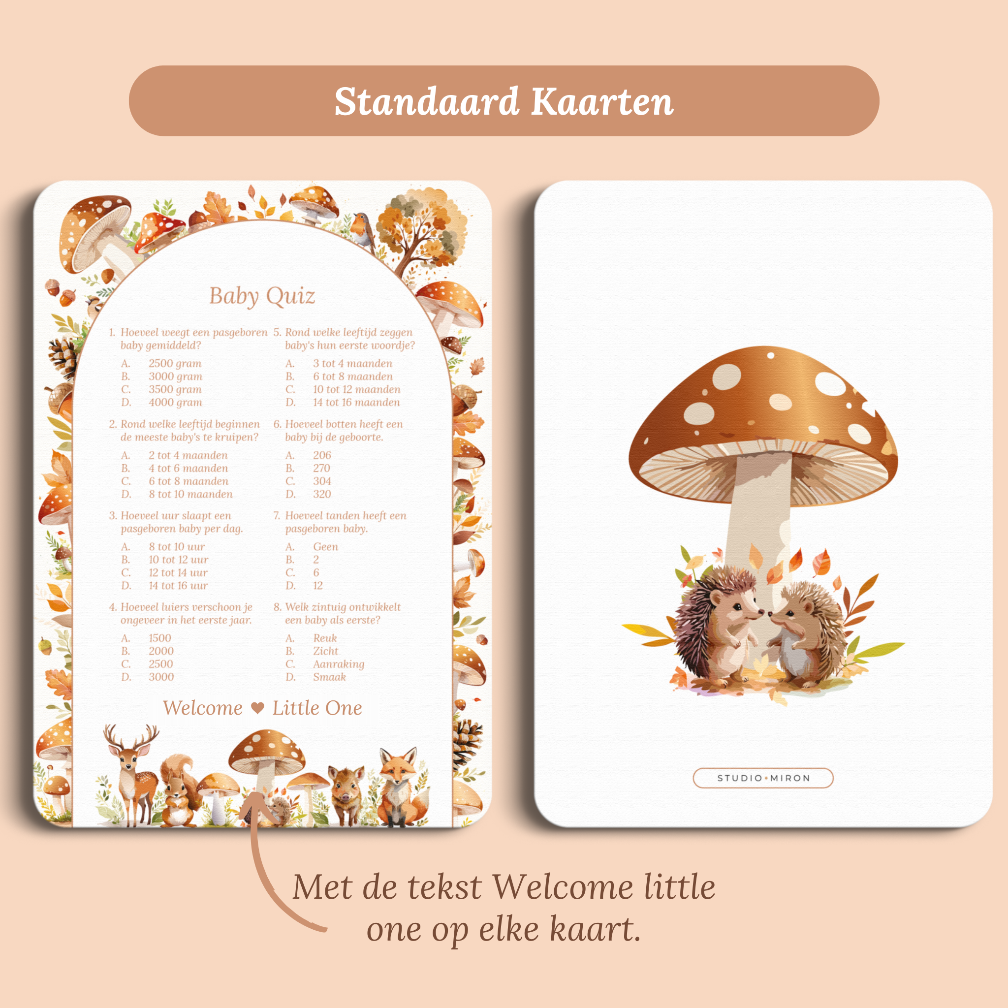 Babyshower spelkaart Baby Quiz in Bosdieren stijl, standaardversie met Welcome Little One – Studio Miron