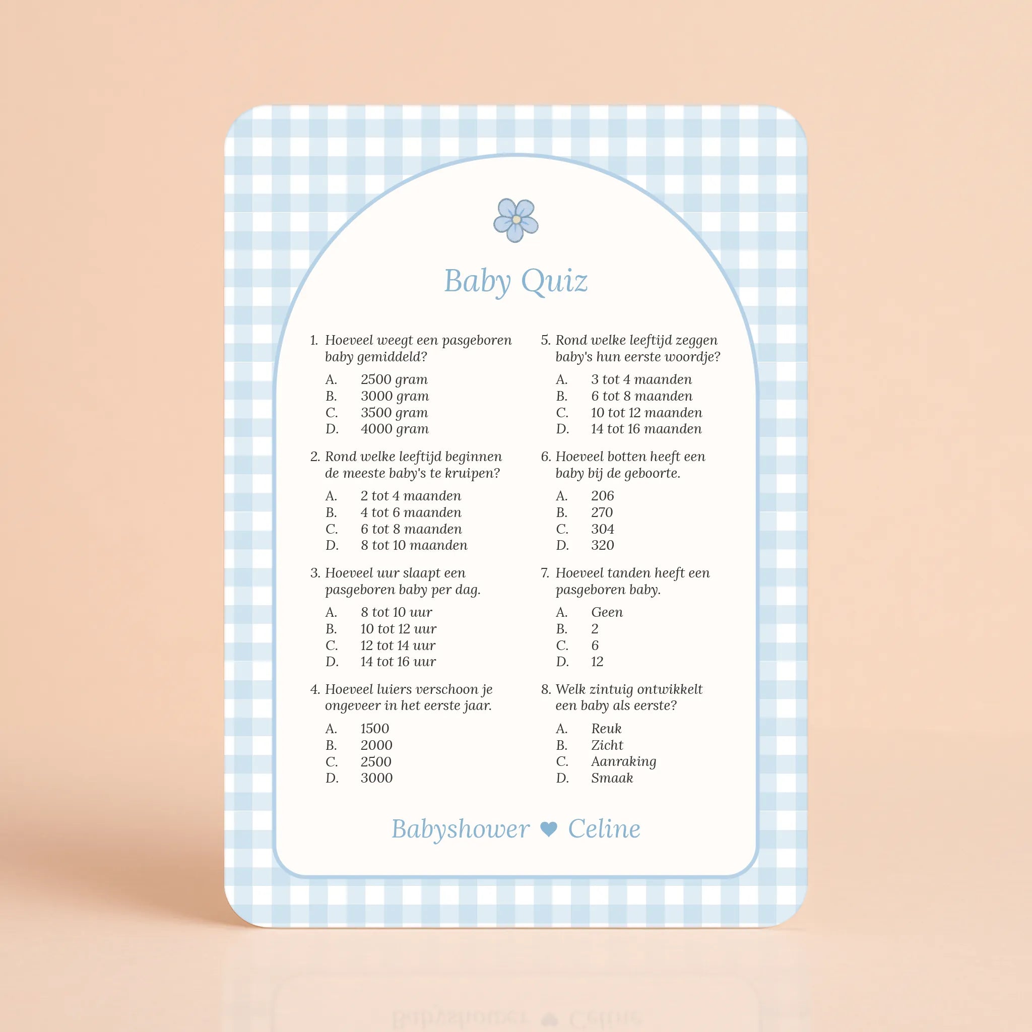 Babyshower spelletjes baby quiz gingham blauw gepersonaliseerd Studio Miron