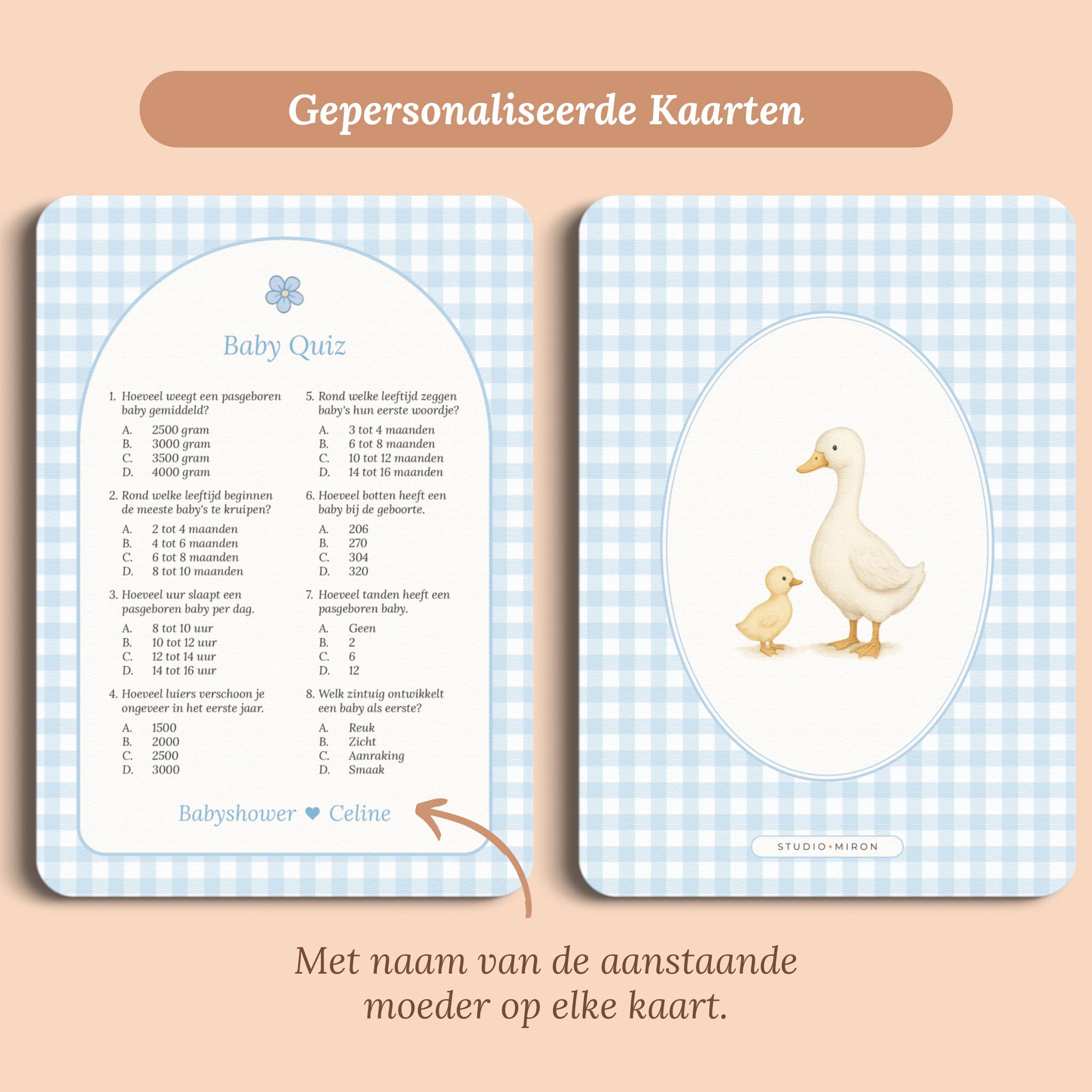 Babyshower spelletjes baby quiz gingham blauw gepersonaliseerd voor en achter Studio Miron