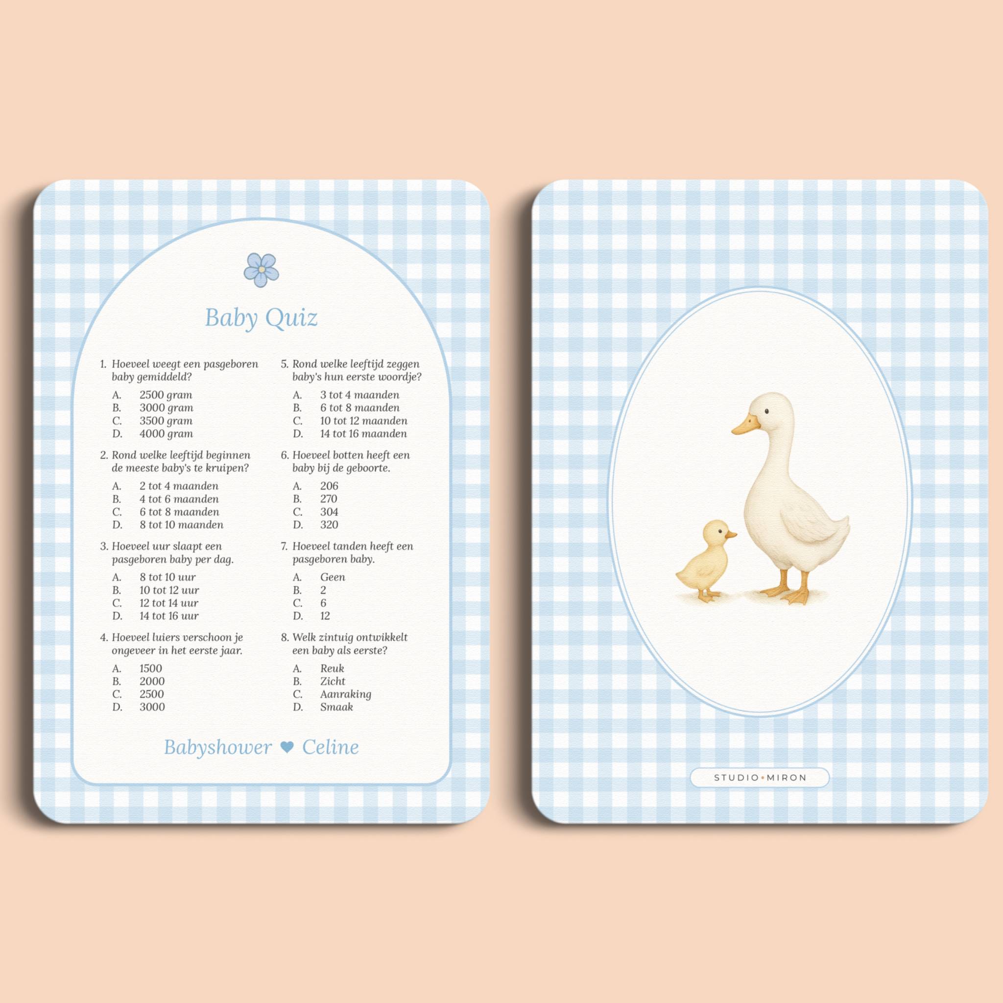 Babyshower spelletjes baby quiz gingham blauw voor en achter Studio Miron
