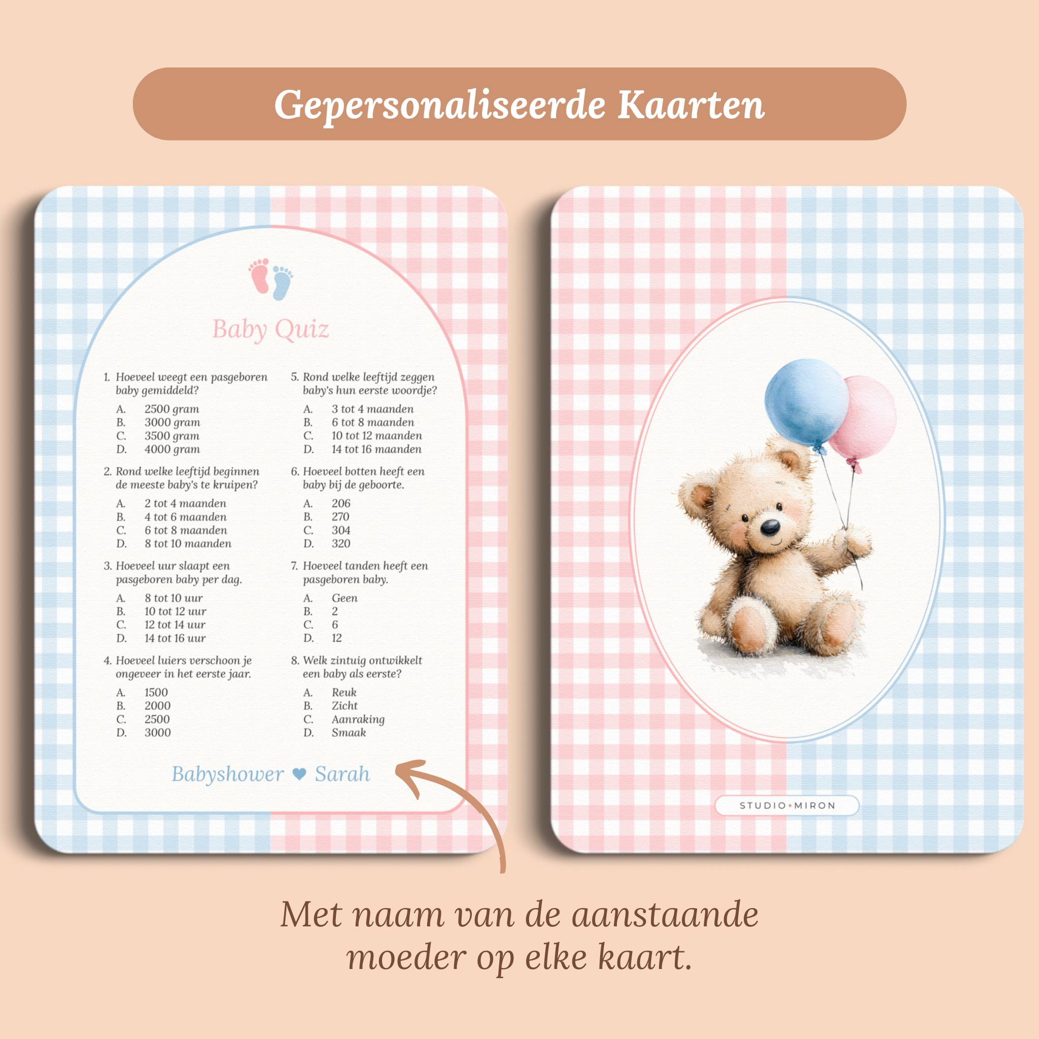 Babyshower spelletjes baby quiz gingham roze blauw gepersonaliseerd voor en achter Studio Miron