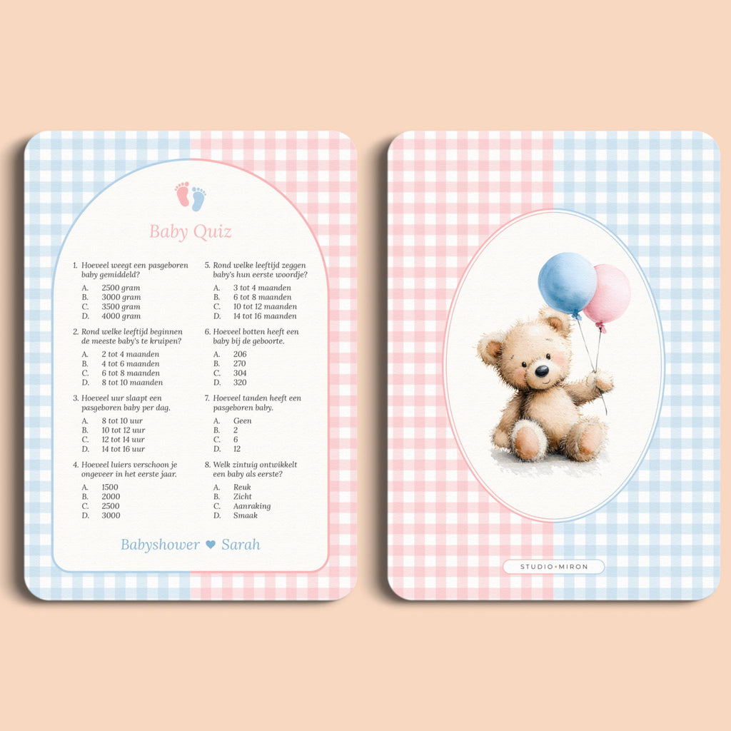 Babyshower spelletjes baby quiz gingham roze blauw voor en achter Studio Miron