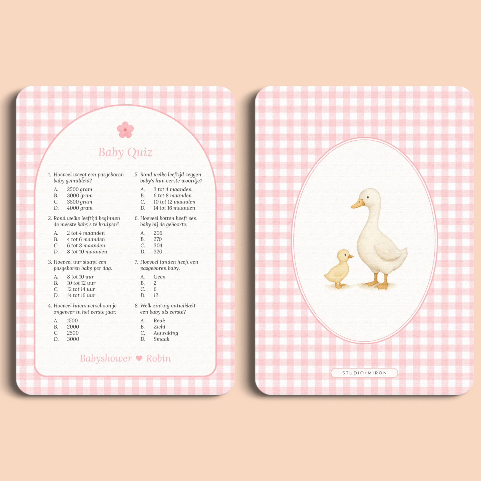 Babyshower spelletjes baby quiz gingham roze voor en achter Studio Miron