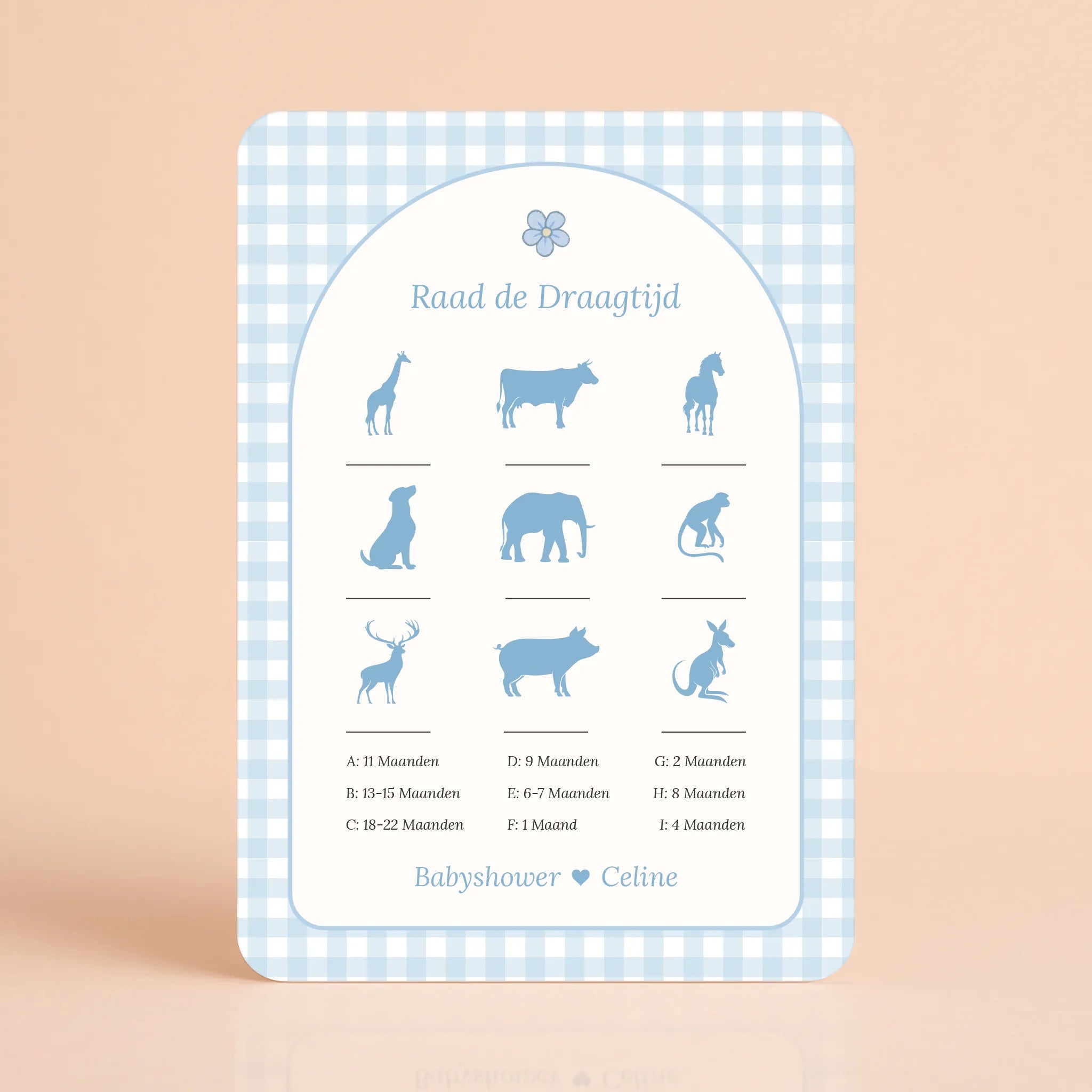 Babyshower spelletjes raad de draagtijd gingham blauw gepersonaliseerd Studio Miron