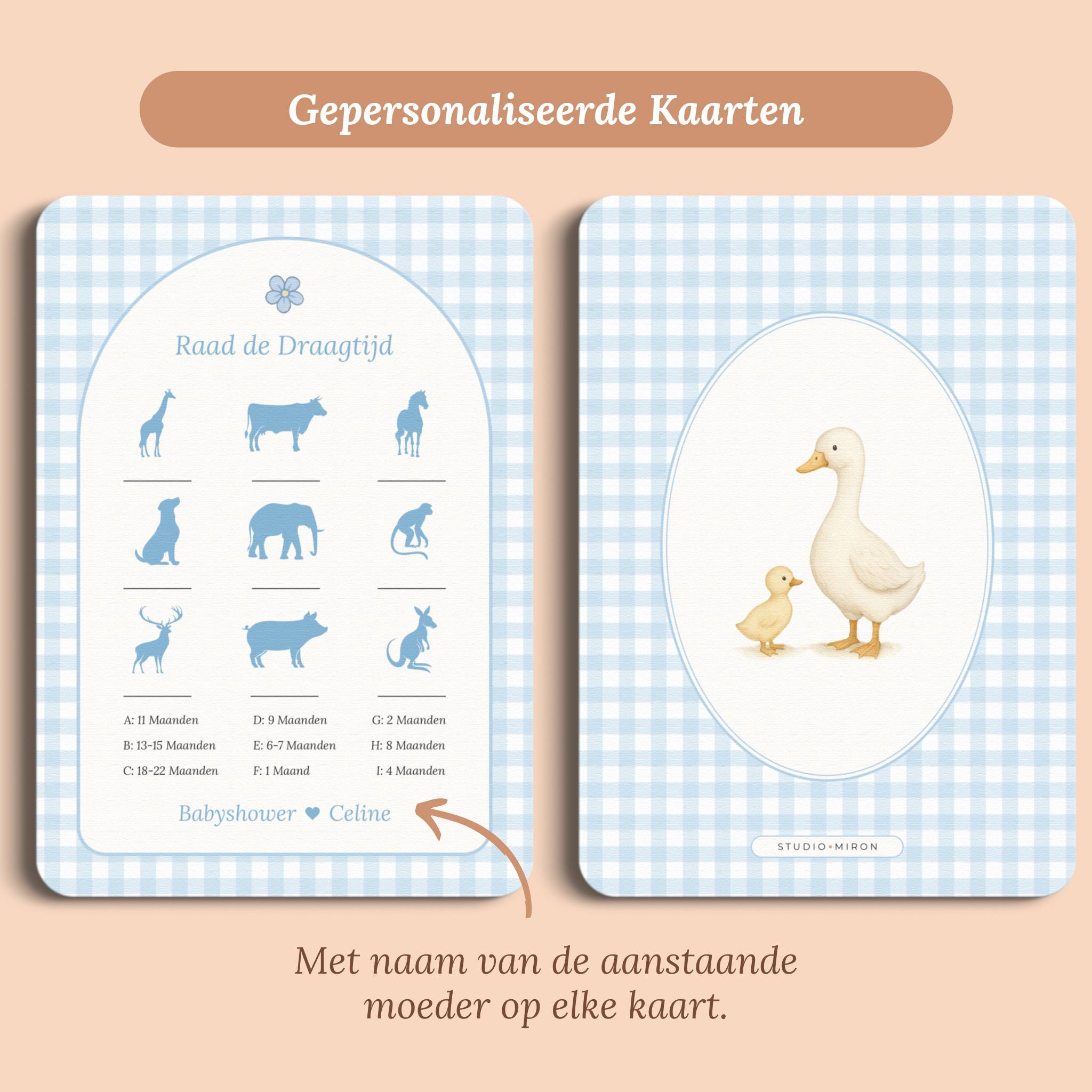 Babyshower spelletjes raad de draagtijd gingham blauw gepersonaliseerd voor en achter Studio Miron