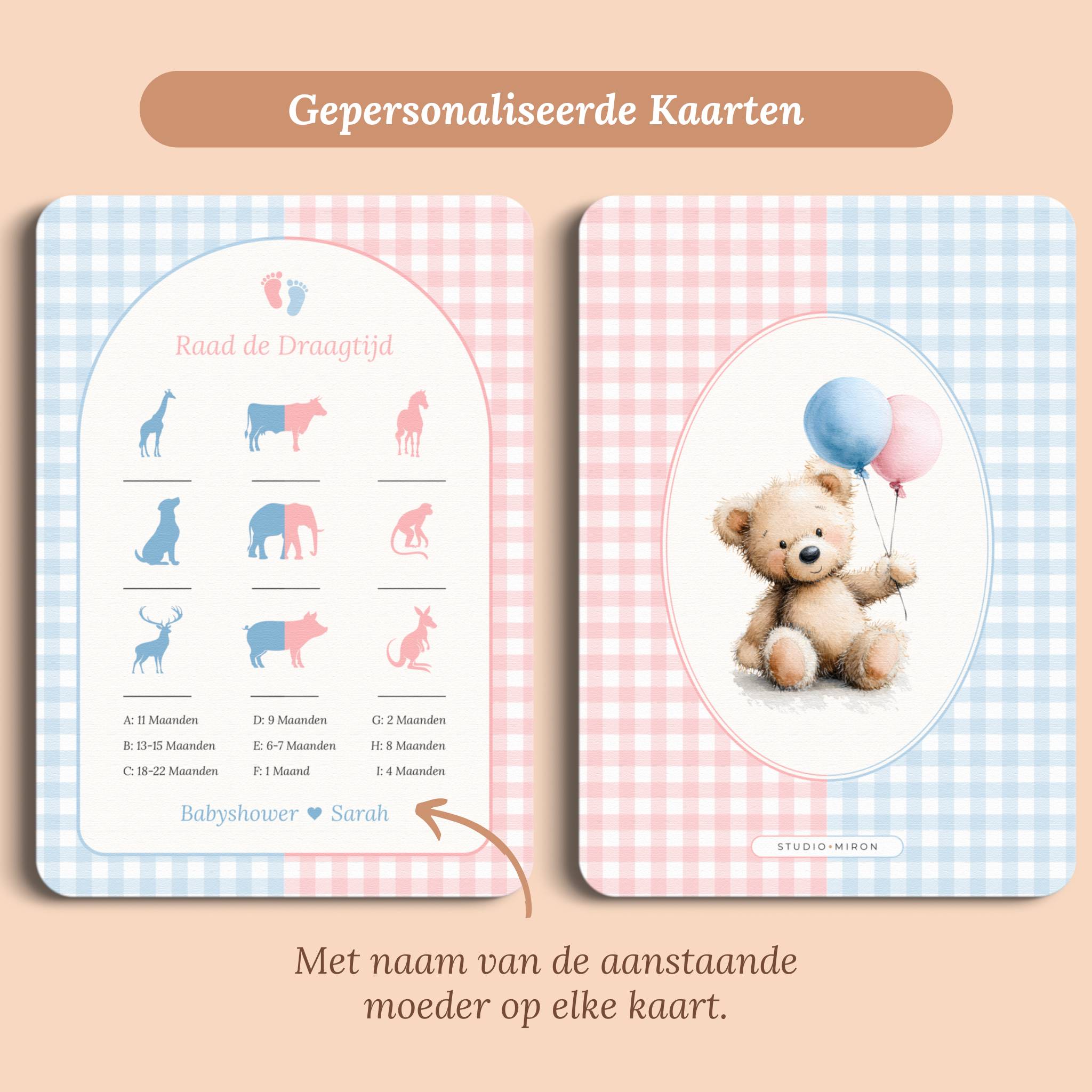 Babyshower spelletjes raad de draagtijd gingham roze blauw gepersonaliseerd voor en achter Studio Miron