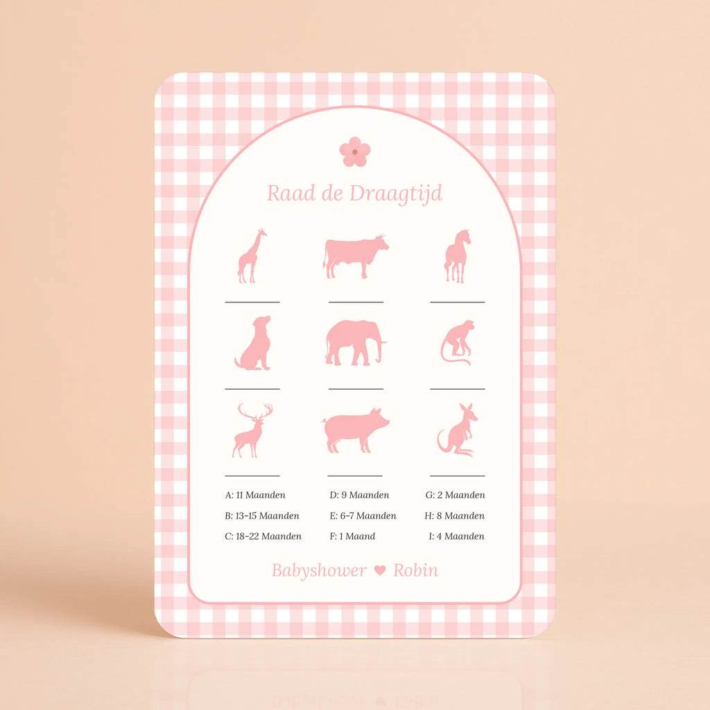 Babyshower spelletjes raad de draagtijd gingham roze gepersonaliseerd Studio Miron