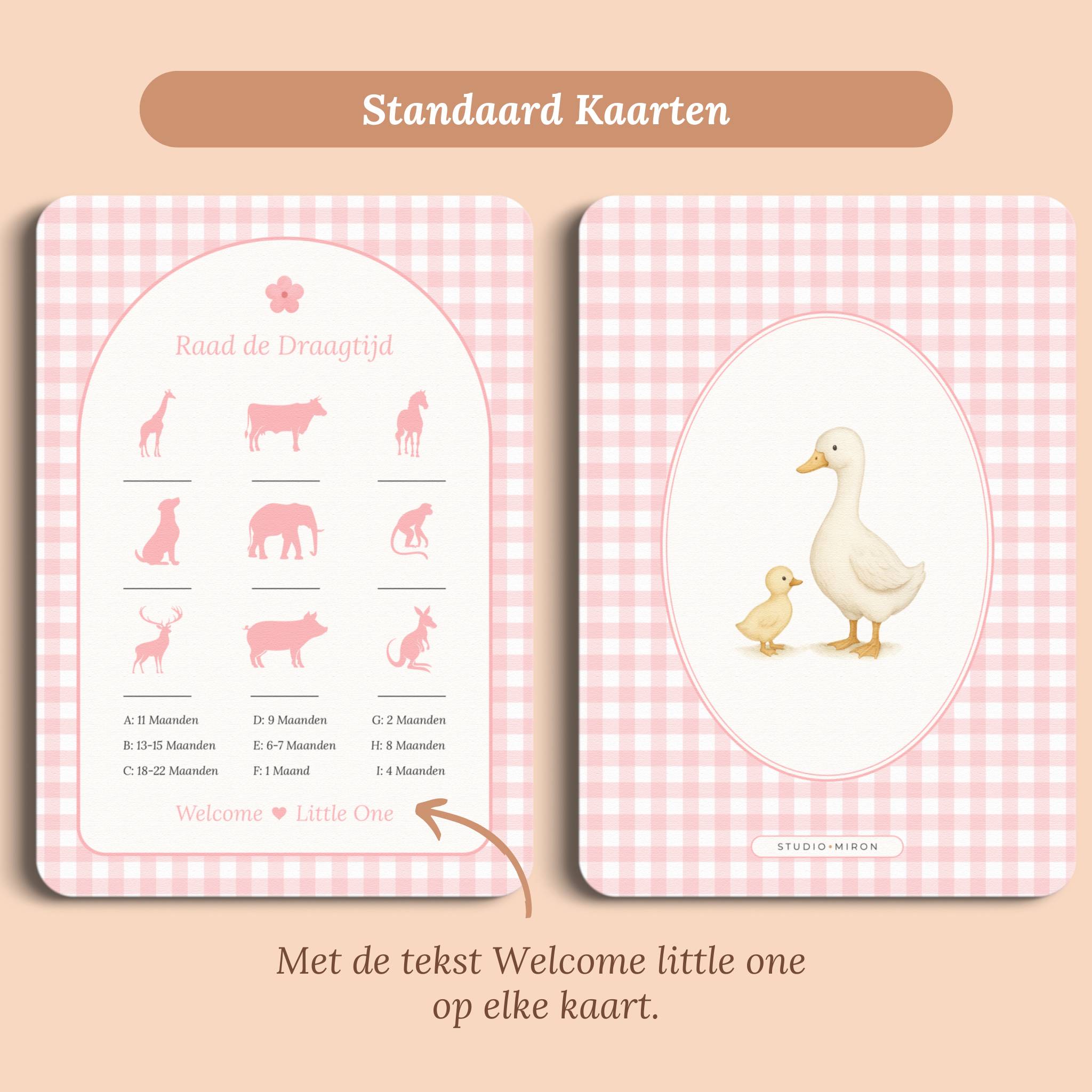 Babyshower spelletjes raad de draagtijd gingham roze standaard voor en achter Studio Miron