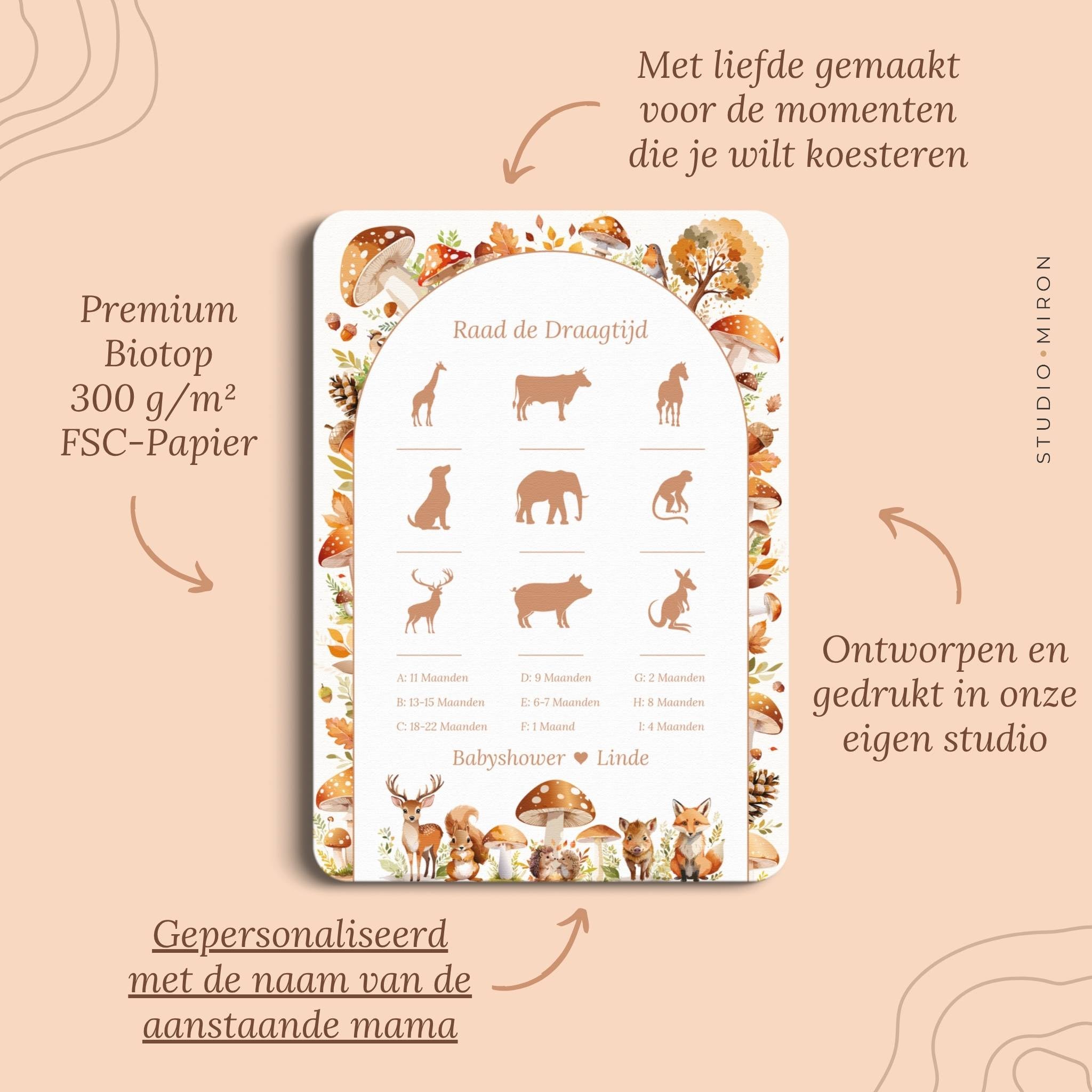 Babyshower spelletjes raad de draagtijd pluspunten bosdieren Studio Miron