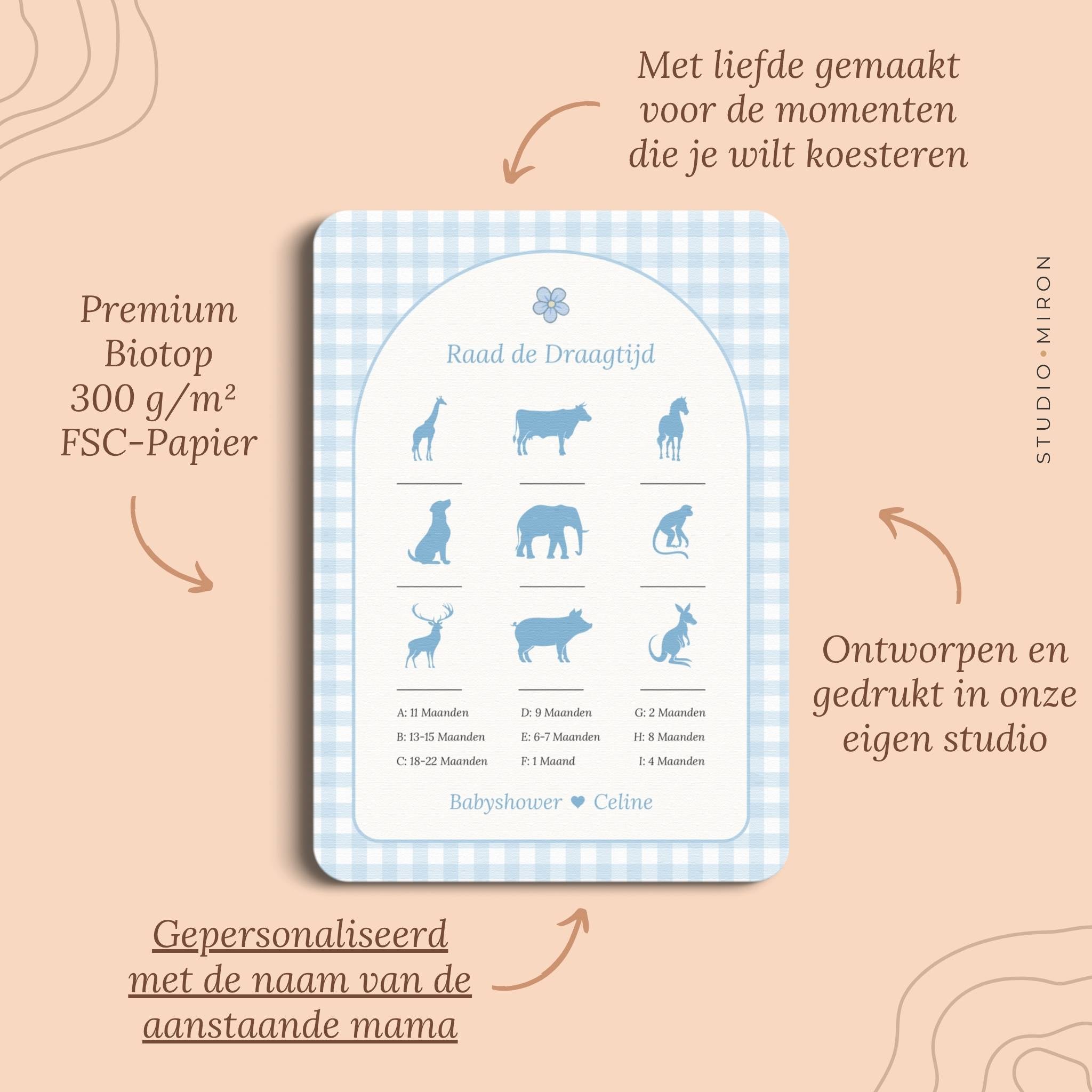 Babyshower spelletjes raad de draagtijd pluspunten gingham blauw Studio Miron
