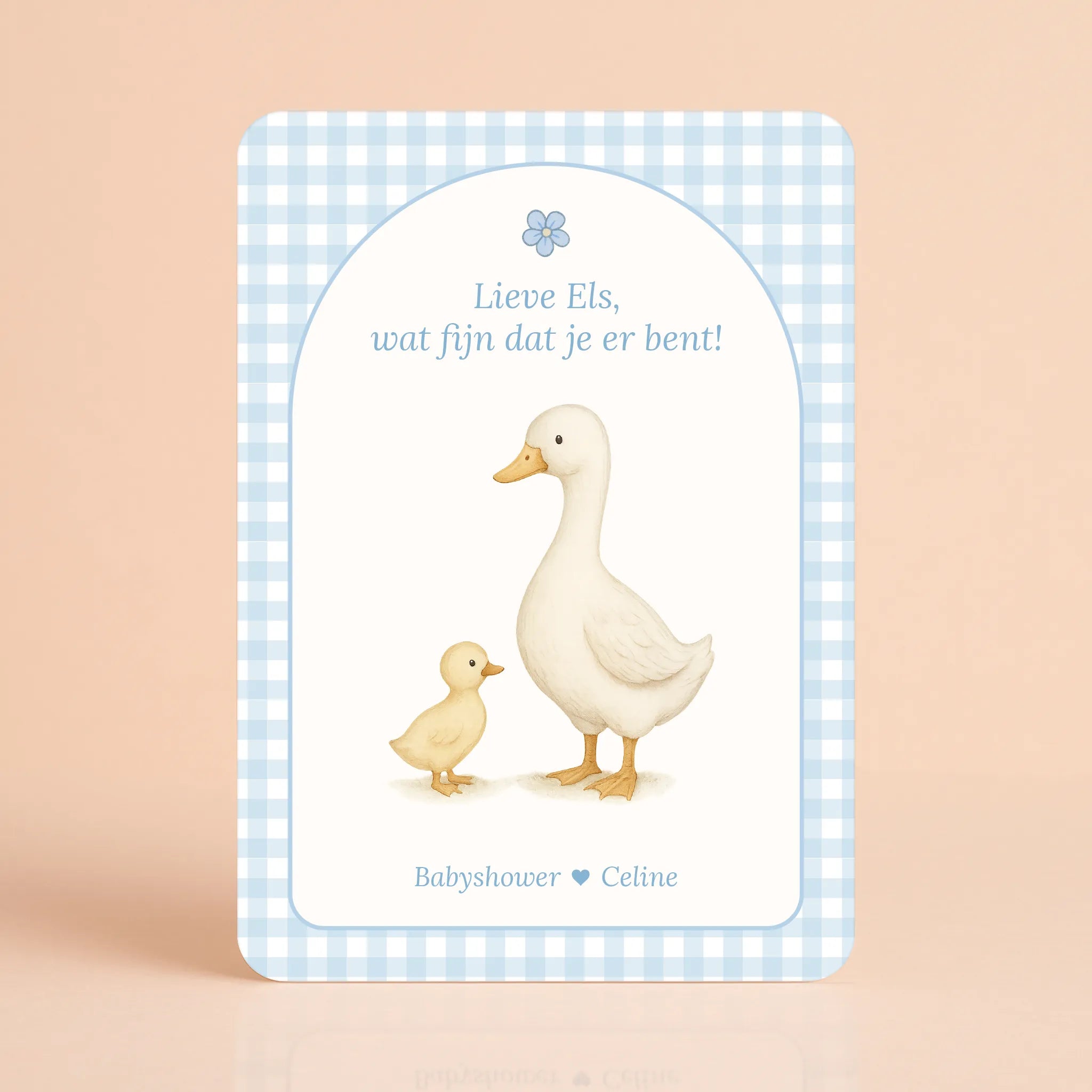 Babyshower welkomstbord naamkaart gingham blauw gepersonaliseerd Studio Miron