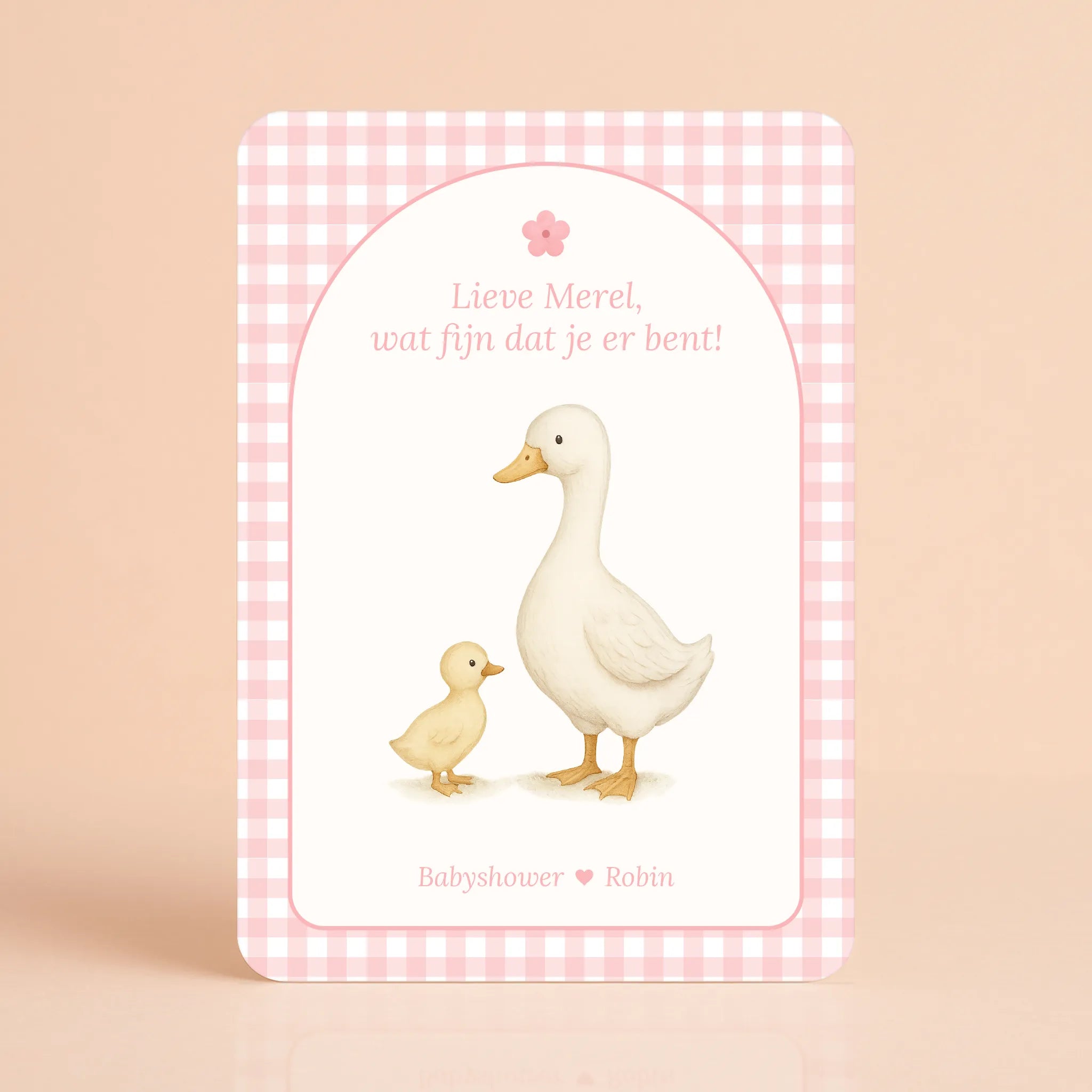 Babyshower welkomstbord naamkaart gingham roze gepersonaliseerd Studio Miron